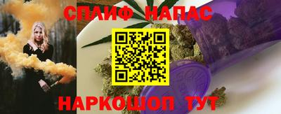 прущие грибы Апшеронск