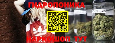 прущие грибы Апшеронск