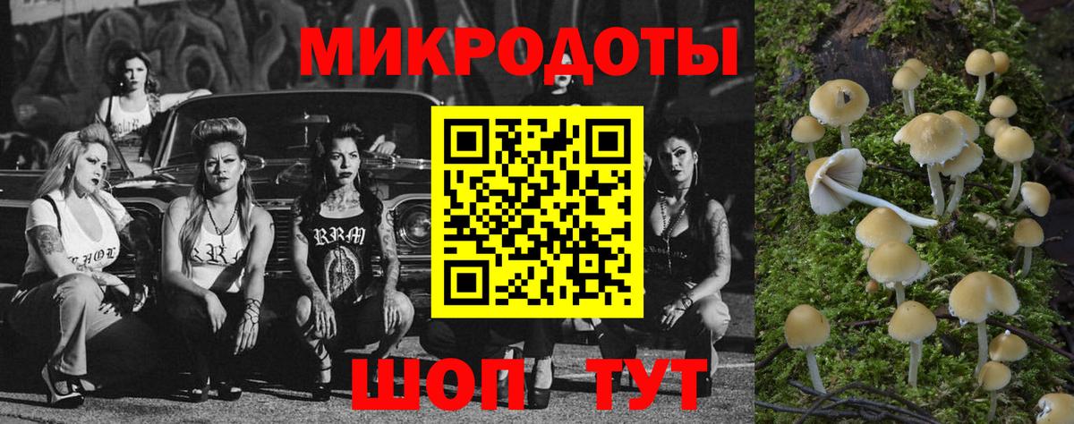 Псилоцибиновые грибы Magic Shrooms Ачхой-Мартан