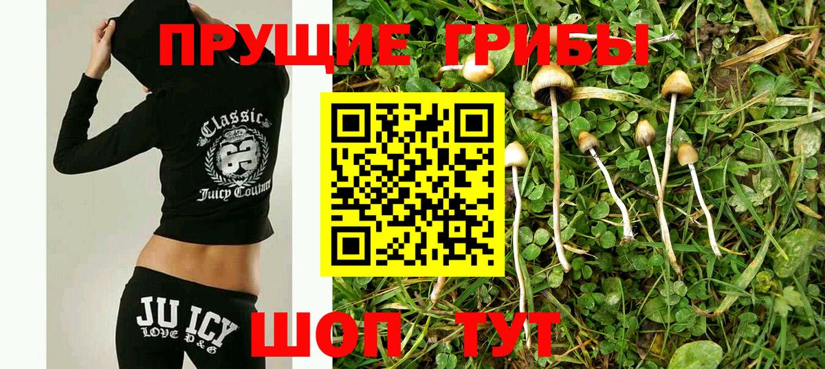 Псилоцибиновые грибы Cubensis  Галлюциногенные грибы Psilocybine cubensis  Вход с VPN  Ачхой-Мартан 